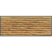 DMC Mouliné Stranded Cotton - 3828