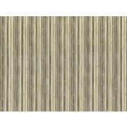 Cotton by Stof - Raphael - Stars & Stripes - Taupe