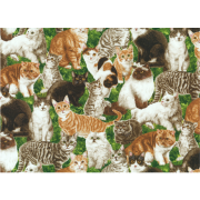 Cotton by Northcott - Whiskers - Kittens - Green