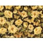 Fat Quarter - Cotton by Hoffman - Flowers and Butterflies