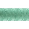 Gütermann Sew All Thread - Pastel Green - 191