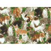 Fat Quarter - Cotton by Northcott - Kittens - Green